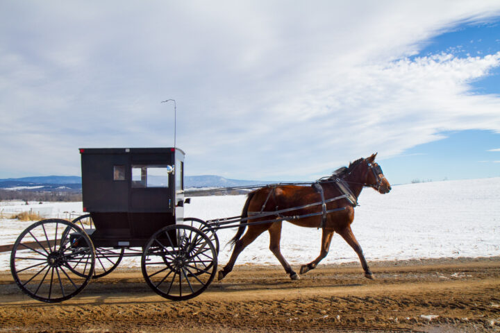 Brown horse-drawn carriage riding across a snowy field under a blue sky with wispy clouds, black wagon with large iron wheels in profile