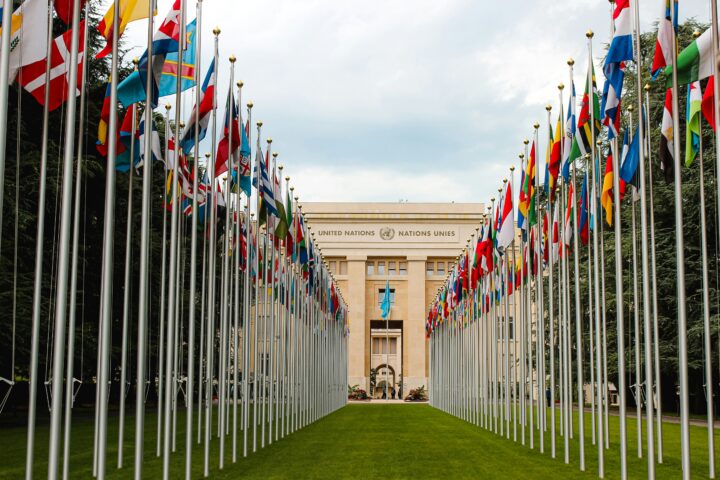 Row of flagpoles with colorful national flags lining a green lawn toward the United Nations building