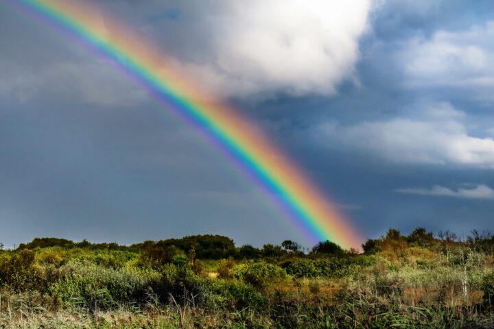 Rainbow arcing across a cloudy sky over a grassy field with shrubs and distant trees.